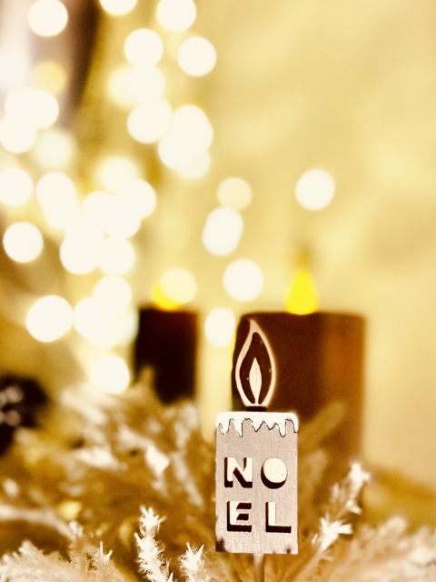 <span class="title">【コラムVol.469】<br>クリスマスに<br>家の“光”が増える理由★</span>