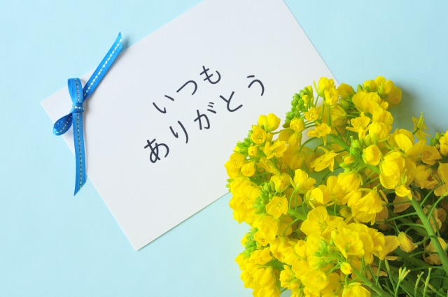 【ミニコラムVol.49】<br>父の日に黄色い花をプレゼント